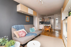 Zielińskiego Grey Apartment